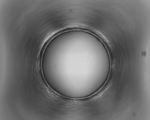 X0000095930877200801110916