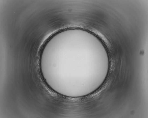 X0000095930878200801110916