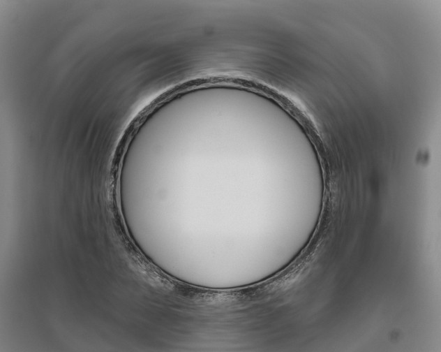 X0000095930879200801110916