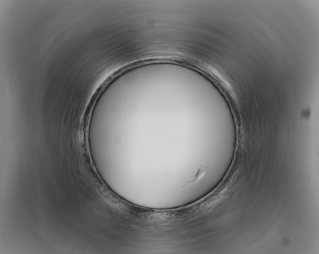 X0000095930883200801110915
