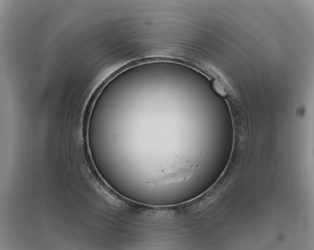 X0000095930884200801110915