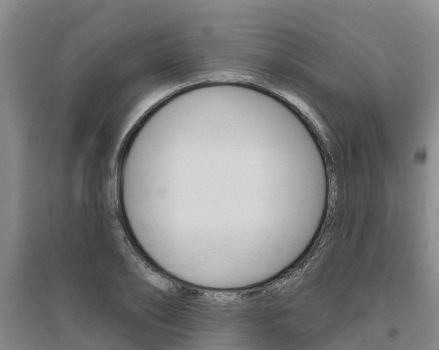 X0000095930886200801110915