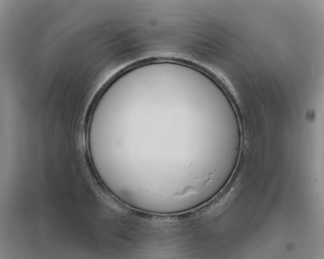 X0000095930887200801110915