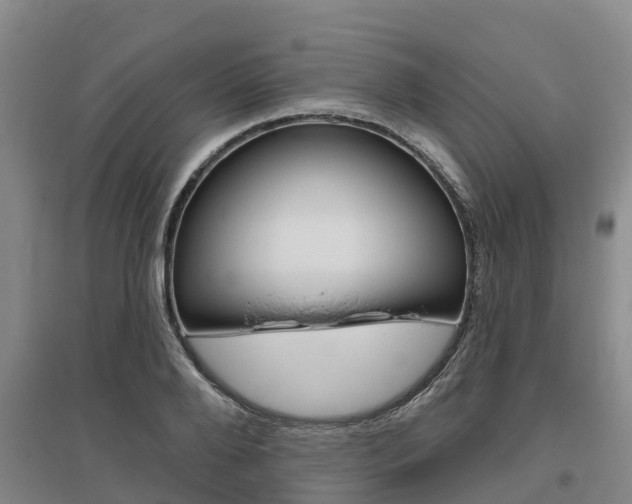 X0000095930888200801110915
