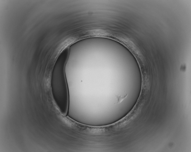 X0000095930889200801110915
