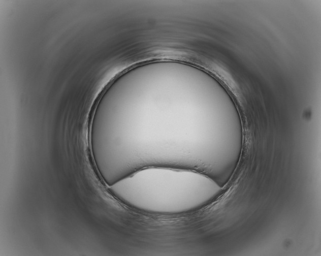 X0000095930891200801110915