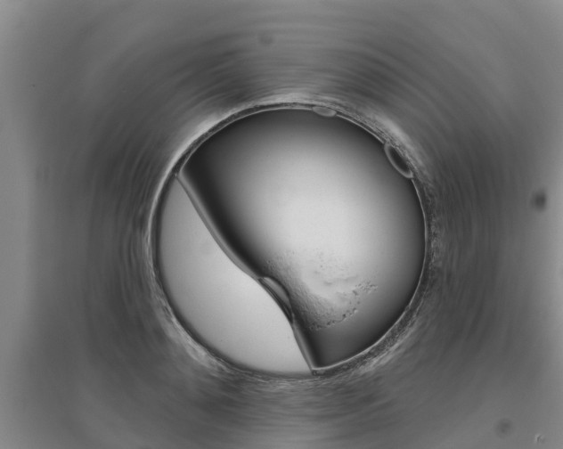 X0000095930892200801110915
