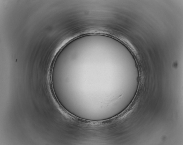 X0000095930893200801110915
