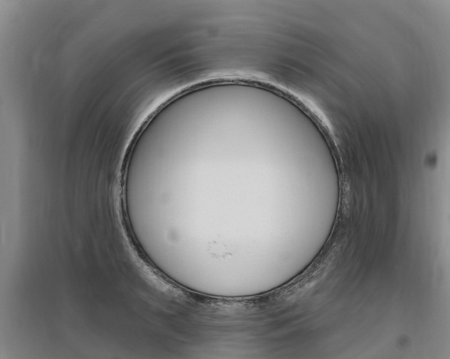 X0000095930895200801110915