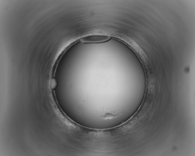 X0000095930896200801110915