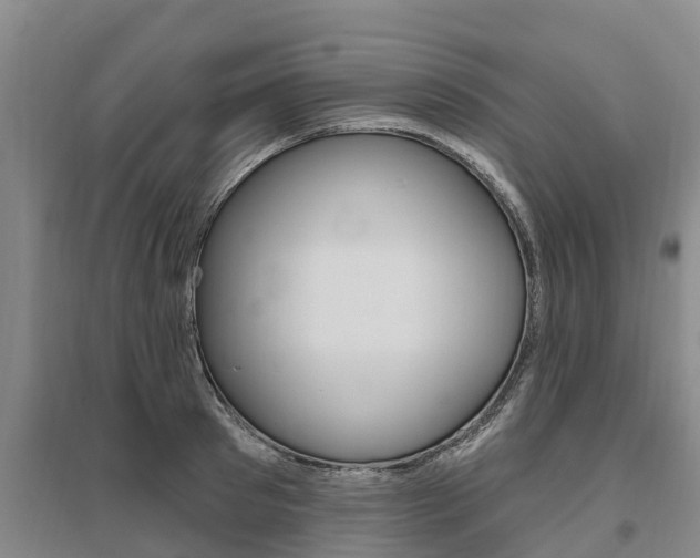 X0000095930897200801110915