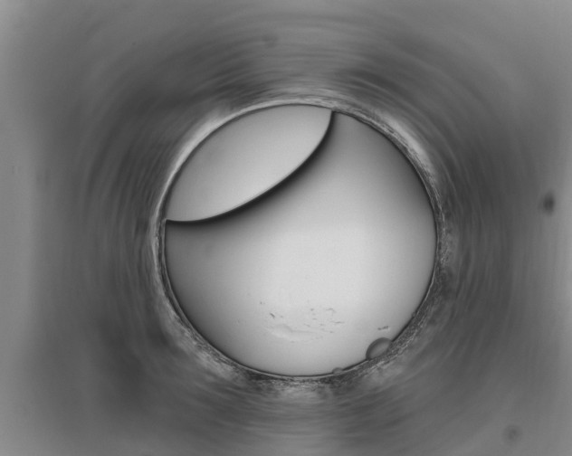 X0000095930899200801110915