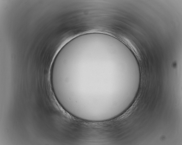 X0000095930900200801110915
