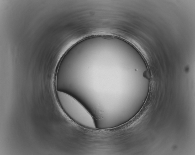 X0000095930901200801110915