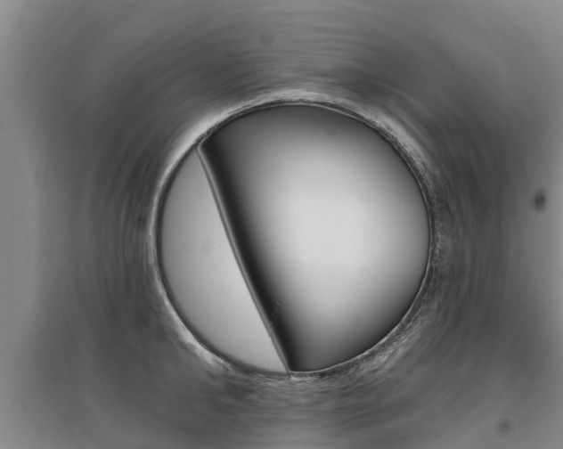X0000095930902200801110915