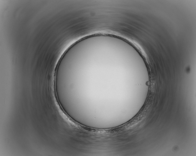 X0000095930903200801110915