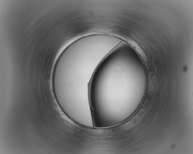 X0000095930904200801110915