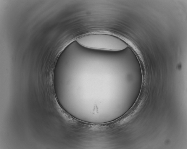 X0000095930905200801110915