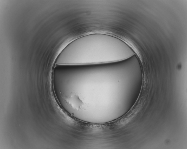 X0000095930906200801110915