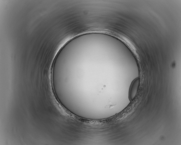 X0000095930907200801110915