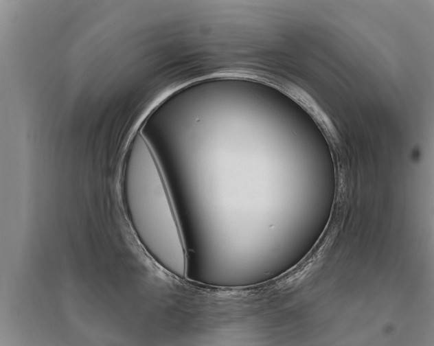 X0000095930908200801110915