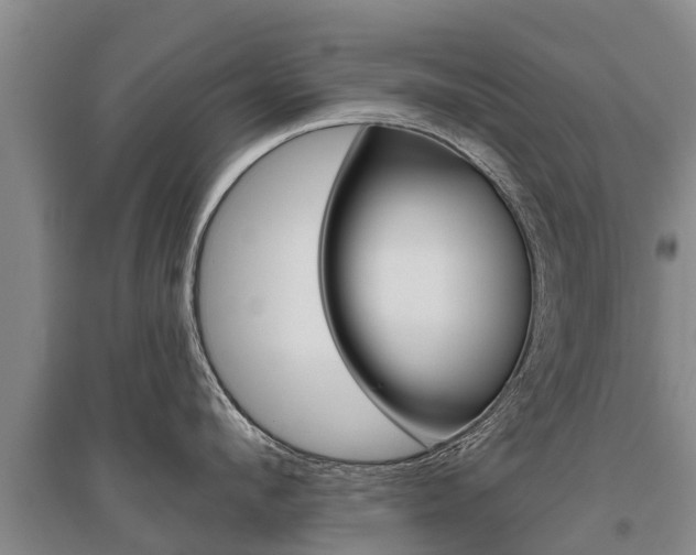 X0000095930912200801110915