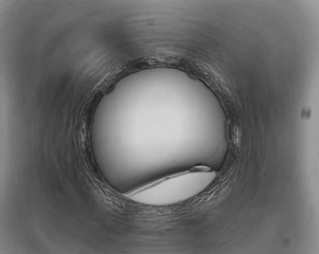 X0000095930915200801110914