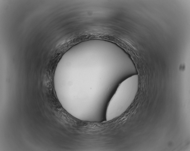 X0000095930917200801110914