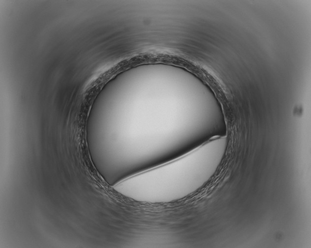 X0000095930919200801110914
