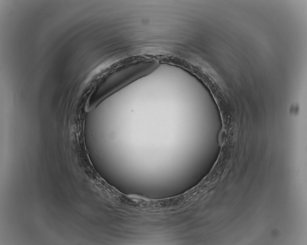 X0000095930920200801110914