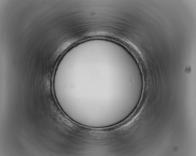 X0000095930921200801110914