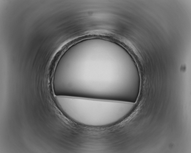 X0000095930923200801110914