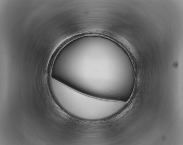 X0000095930924200801110914