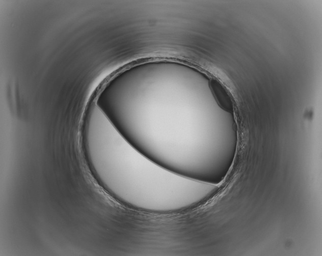 X0000095930928200801110914