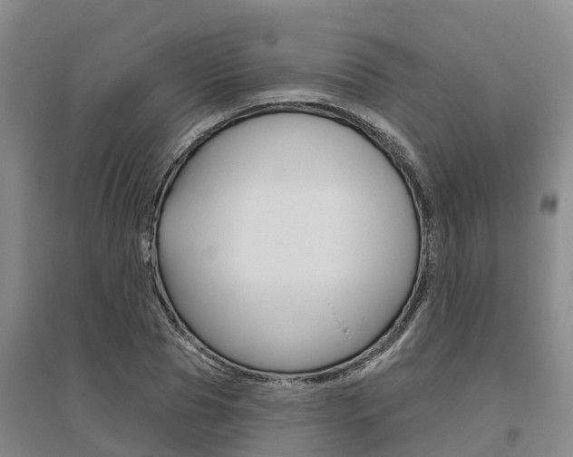 X0000095930929200801110914