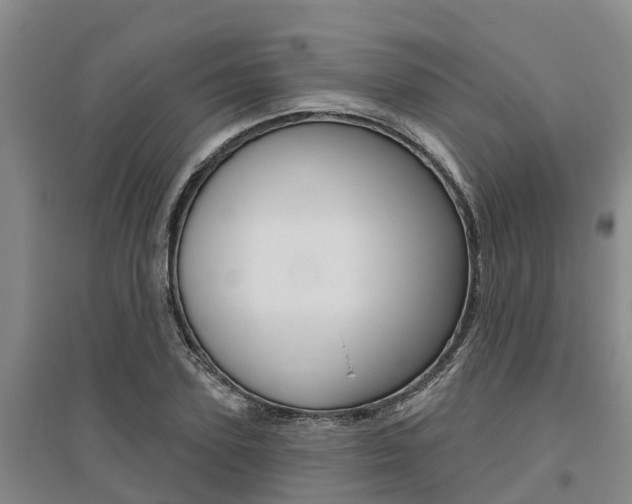 X0000095930931200801110914