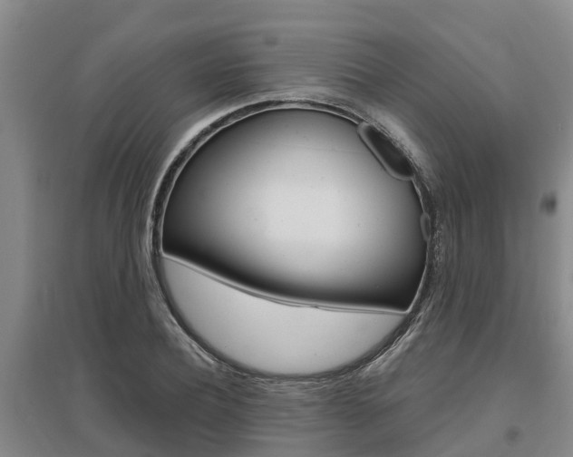 X0000095930932200801110914