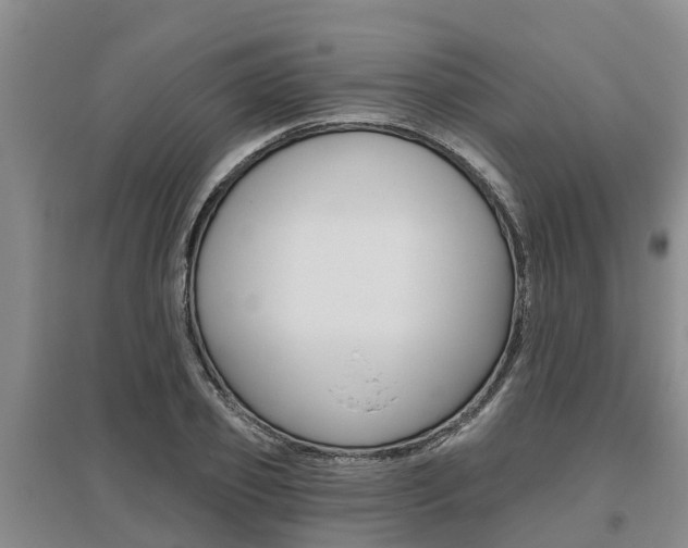 X0000095930933200801110915
