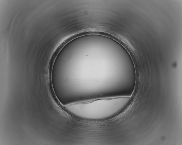 X0000095930934200801110915