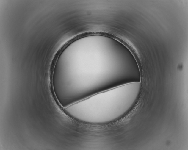 X0000095930935200801110915