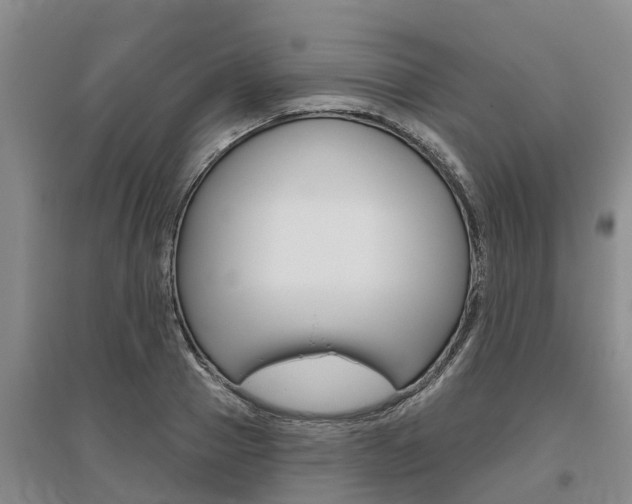 X0000095930937200801110915