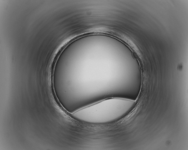 X0000095930939200801110915