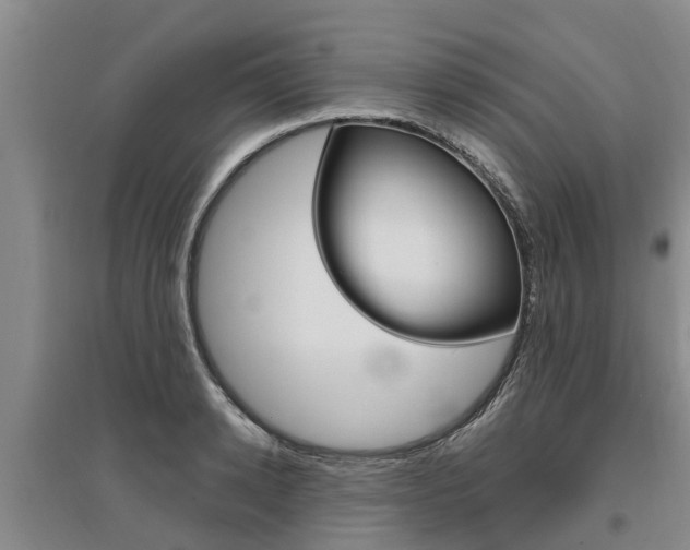 X0000095930942200801110915