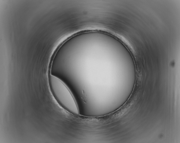 X0000095930943200801110915