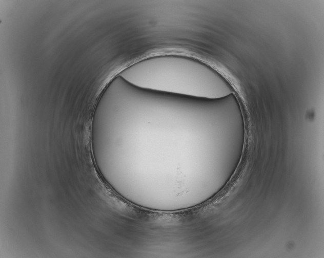 X0000095930945200801110915