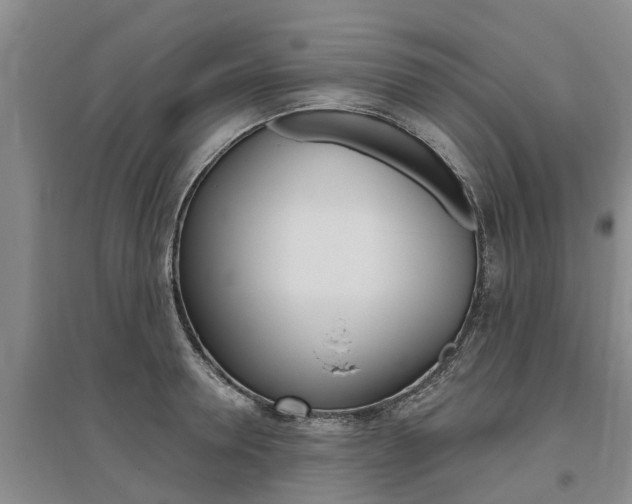 X0000095930946200801110915
