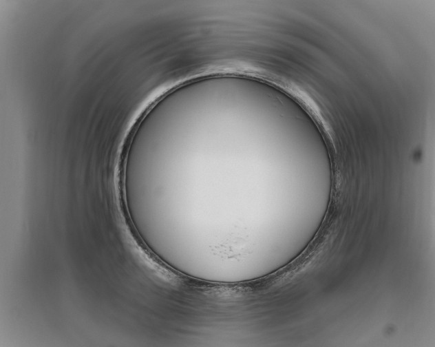 X0000095930947200801110915