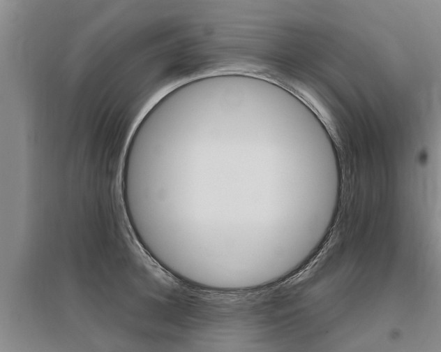 X0000095930948200801110915
