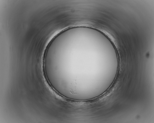 X0000095930949200801110915