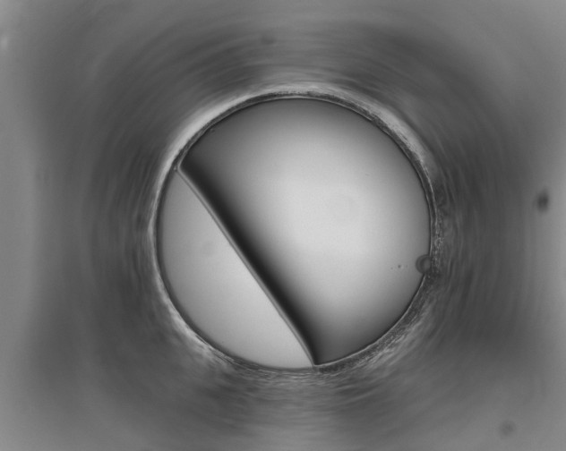 X0000095930951200801110915